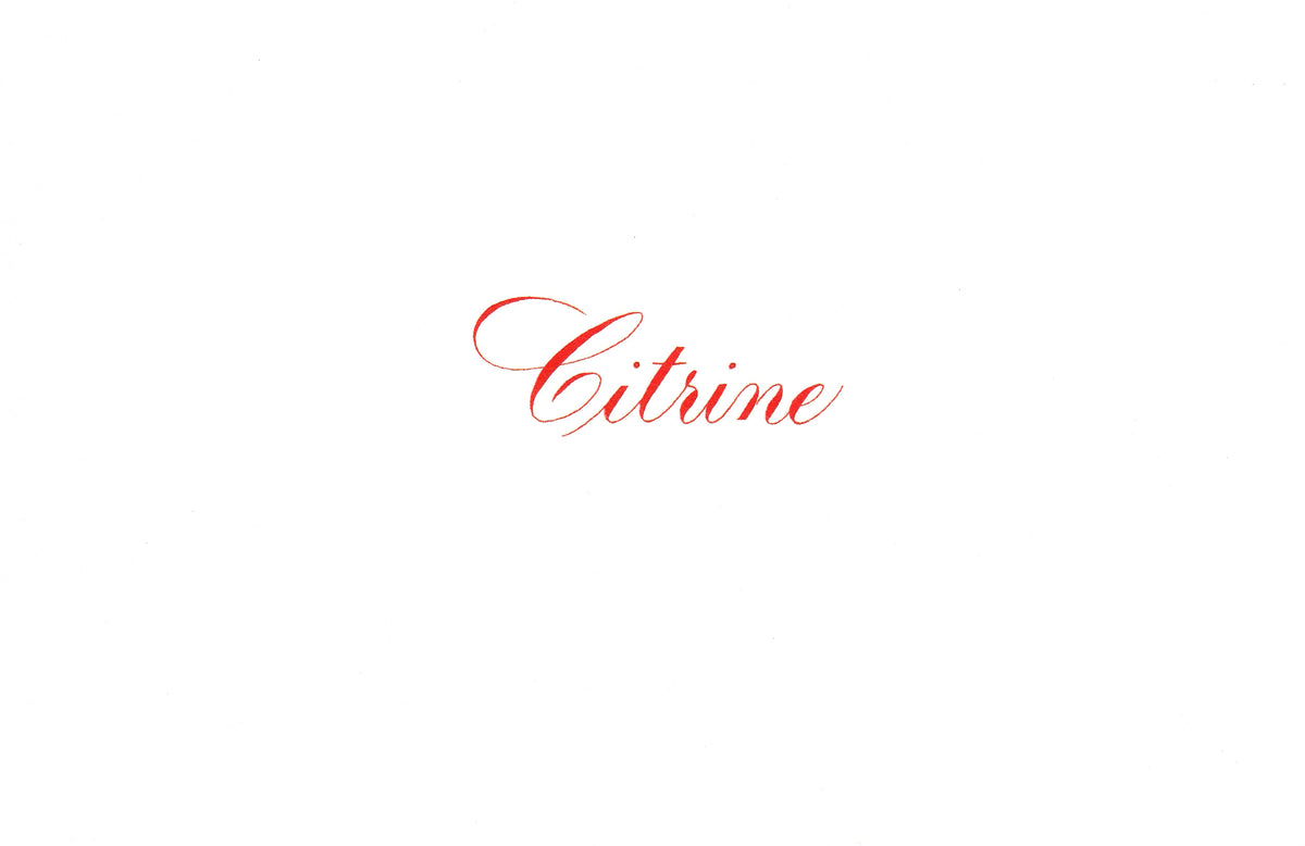 Speedball India Ink 29ml – Citrine
