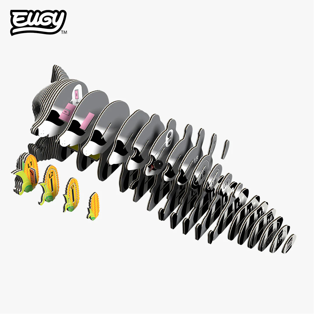 EUGY 103 Raccoon
