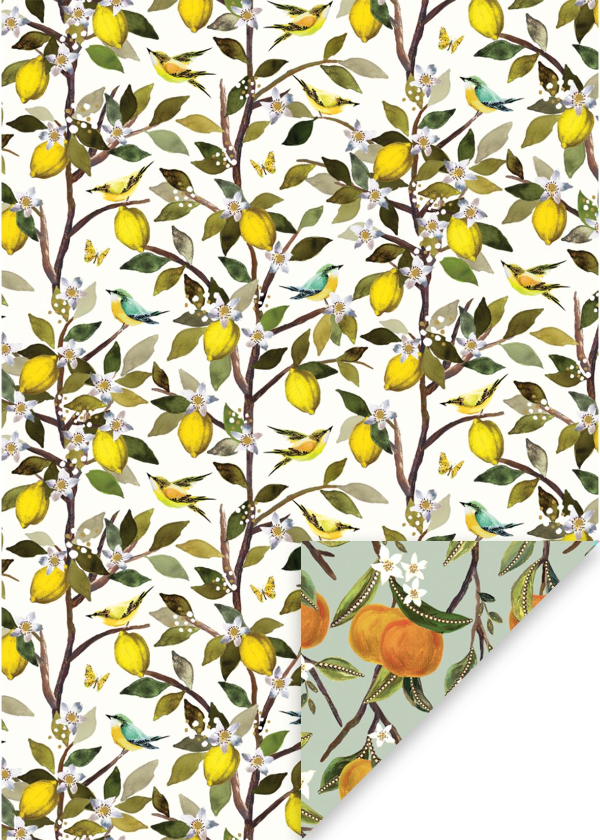 Fruit Orchard Wrapping Paper Sheet by Stephanie Davies