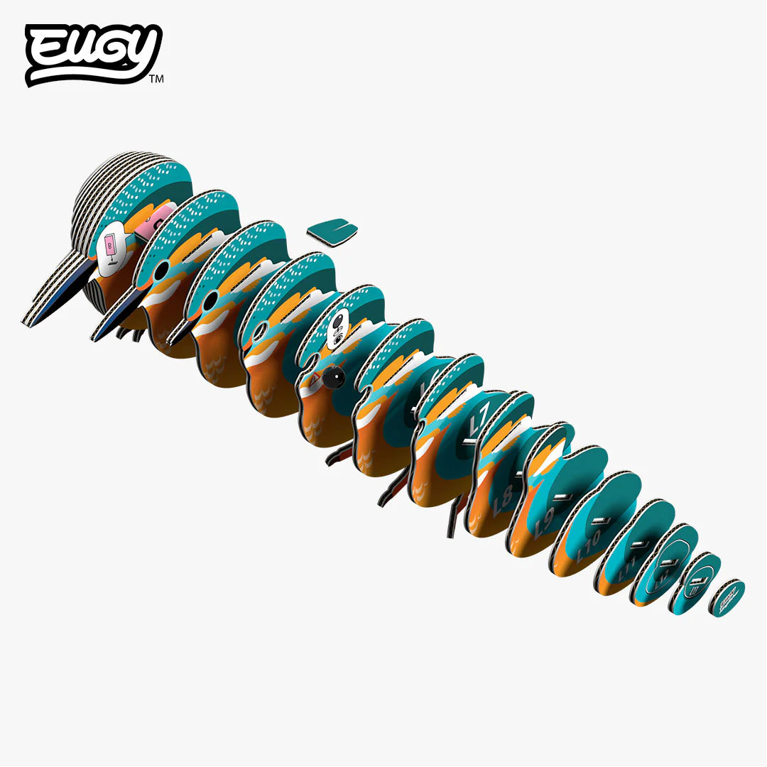 EUGY 121 Kingfisher