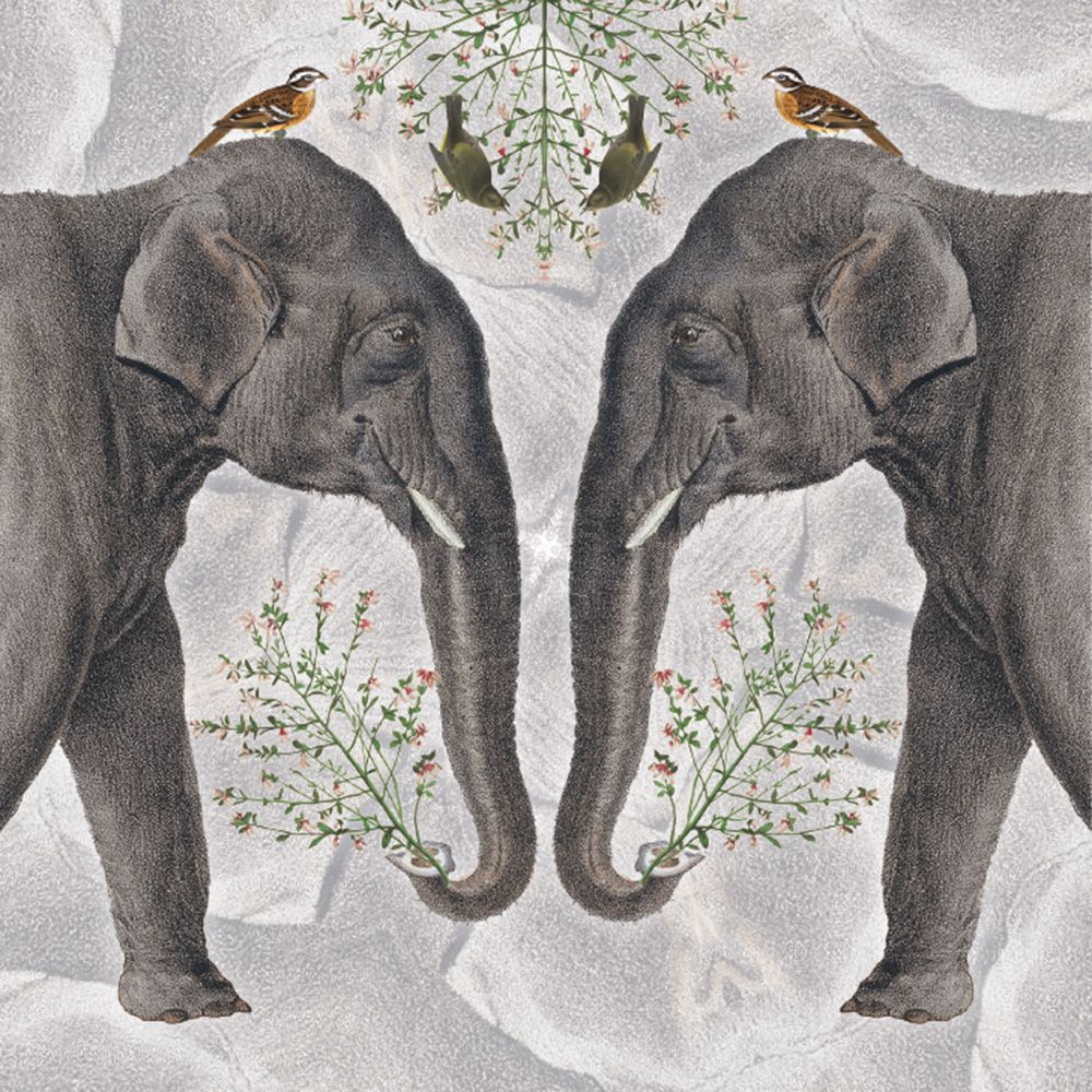 Natural History Museum Indian Elephant Art Card