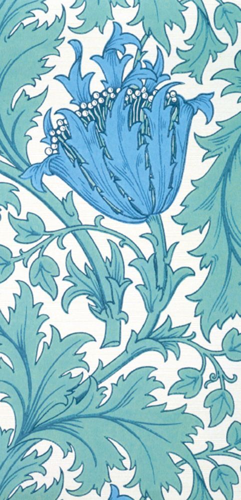 J.H. Dearle Anemone Art Card