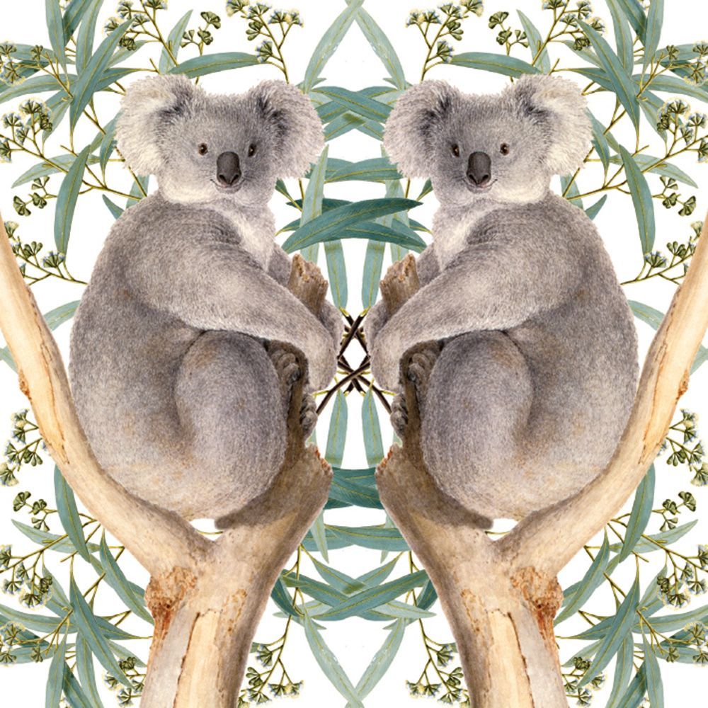 Natural History Museum Koala Art Card