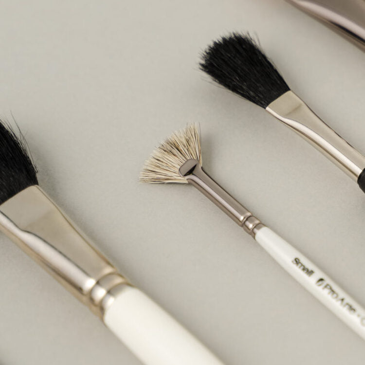 Pro Arte Terry Harrison Stipple Fan Special Effects Brush