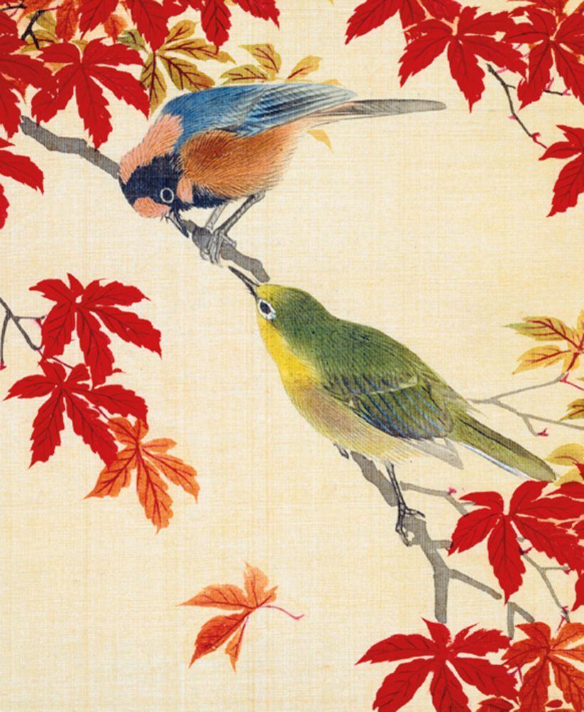 Nature Studies Art Card