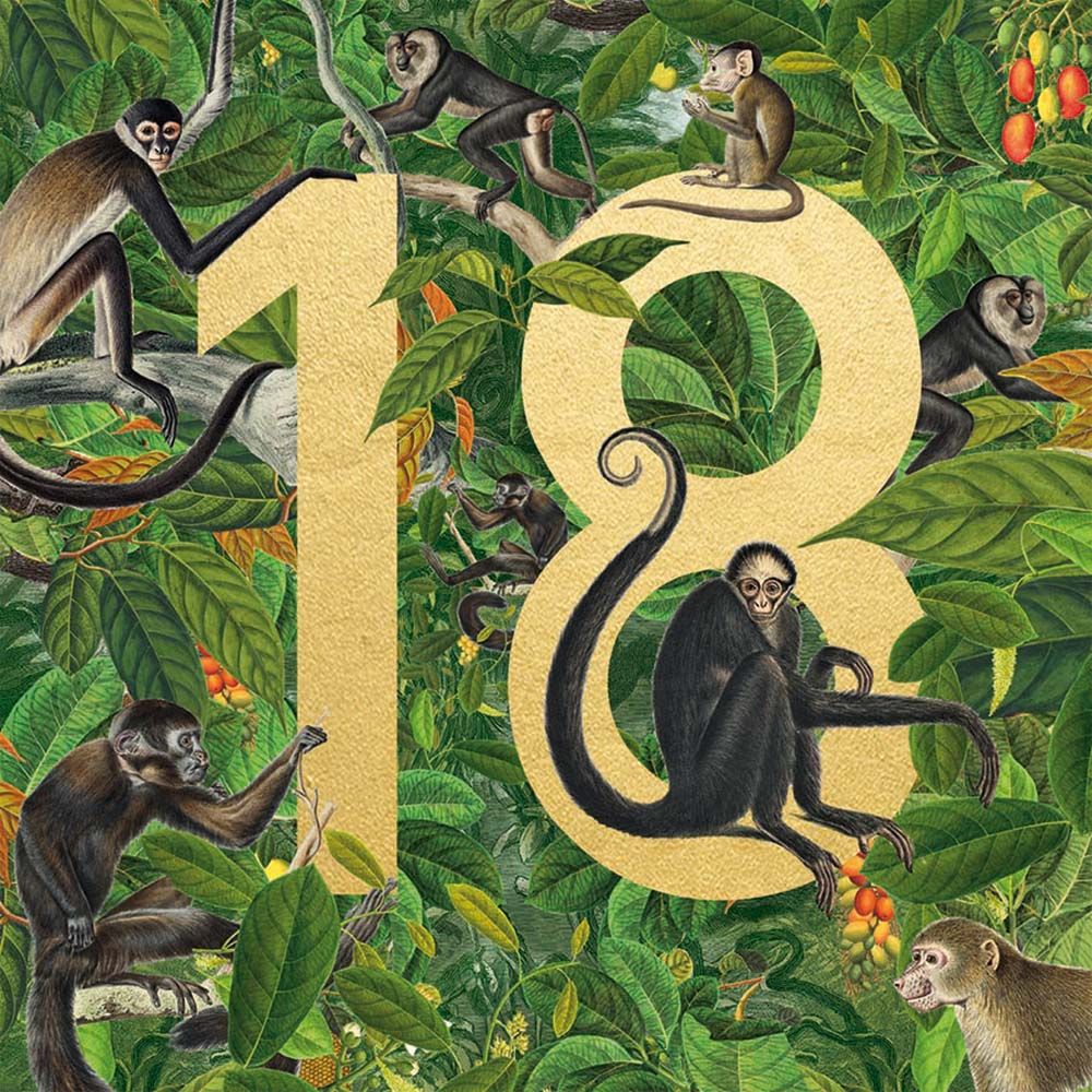 Natural History Museum Monkeys 18 Birthday Card