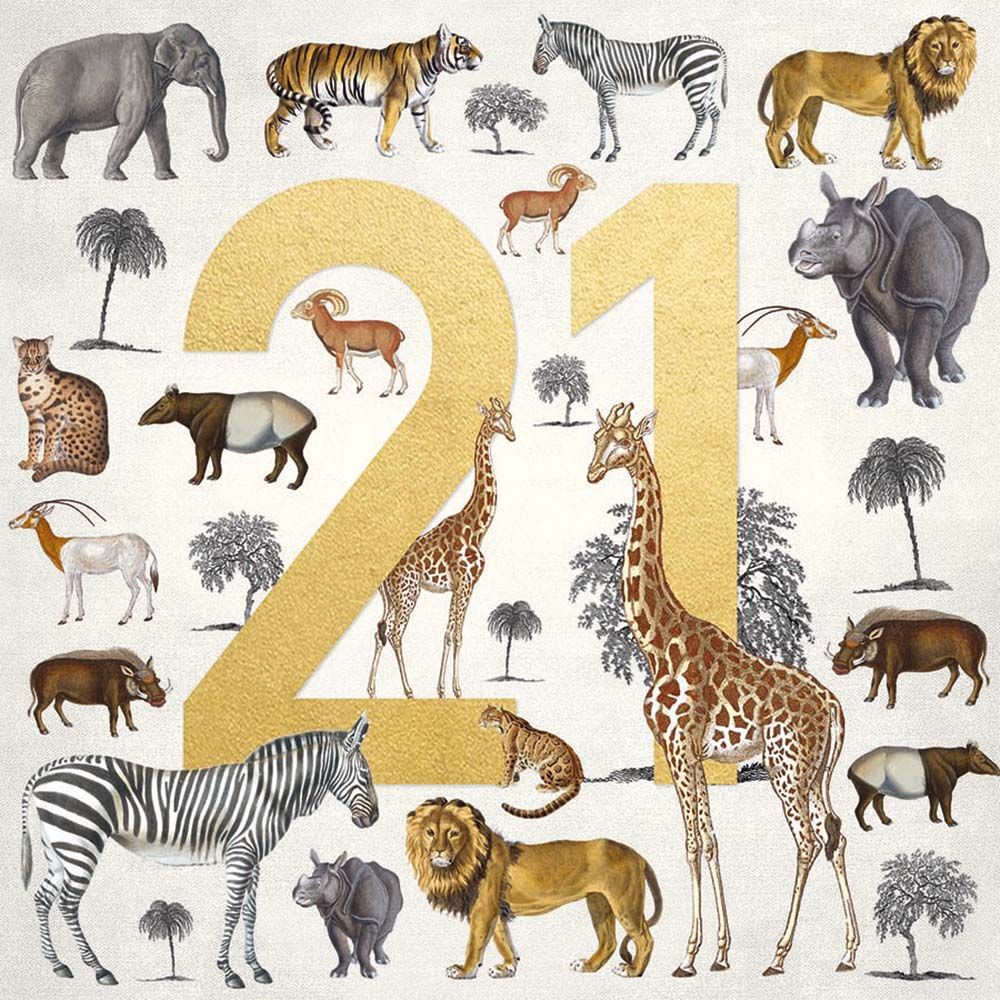 Natural History Museum Safari 21 Birthday Card