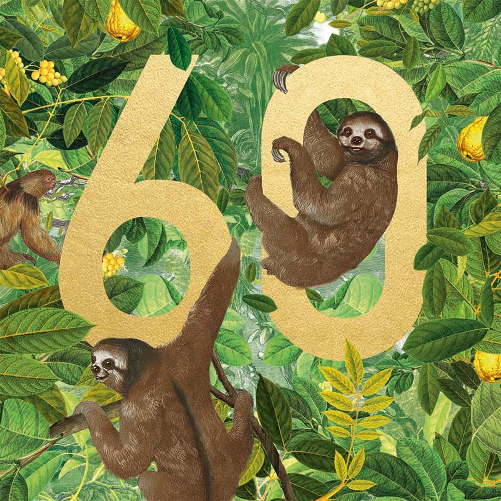 Natural History Museum Sloths 60 Birthday Card