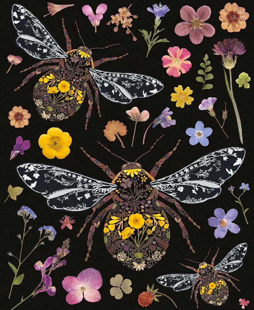 Helen Ahpornsiri Three Bumblebees Art Card