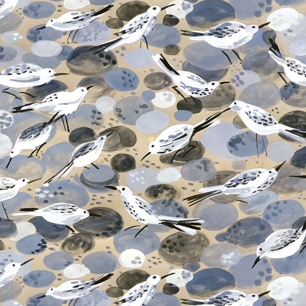 Sarah Campbell Sandpipers Gift Wrap Sheet