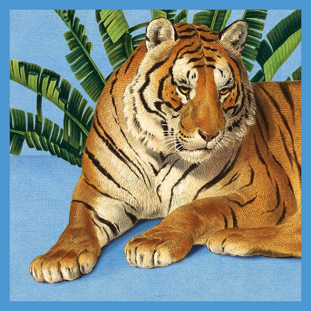 Natural History Museum Tiger Art Card