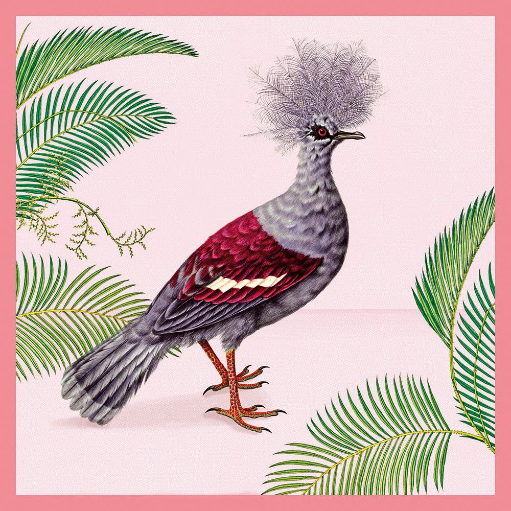Natural History Museum Western Crowned Pigeon Art Card