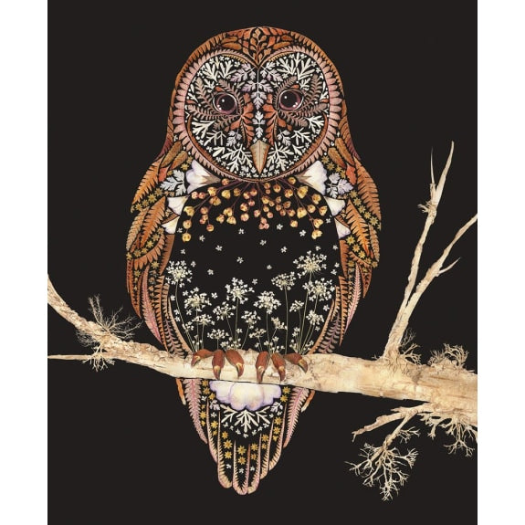 Helen Ahpornsiri Barn Owl Art Card | Blank Inside