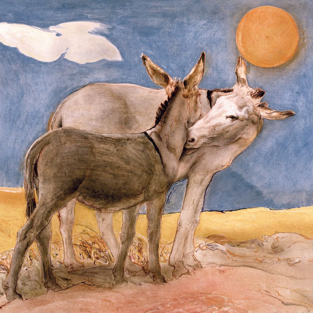 Antonio Ciccone Two Donkeys Art Card