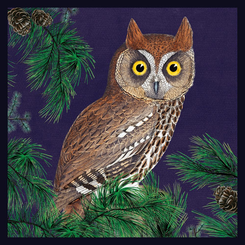 Tyto soumagnei Red Owl Art Card