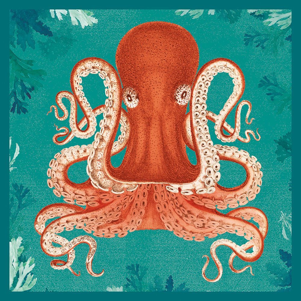 Natural History Museum Octopus Art Card