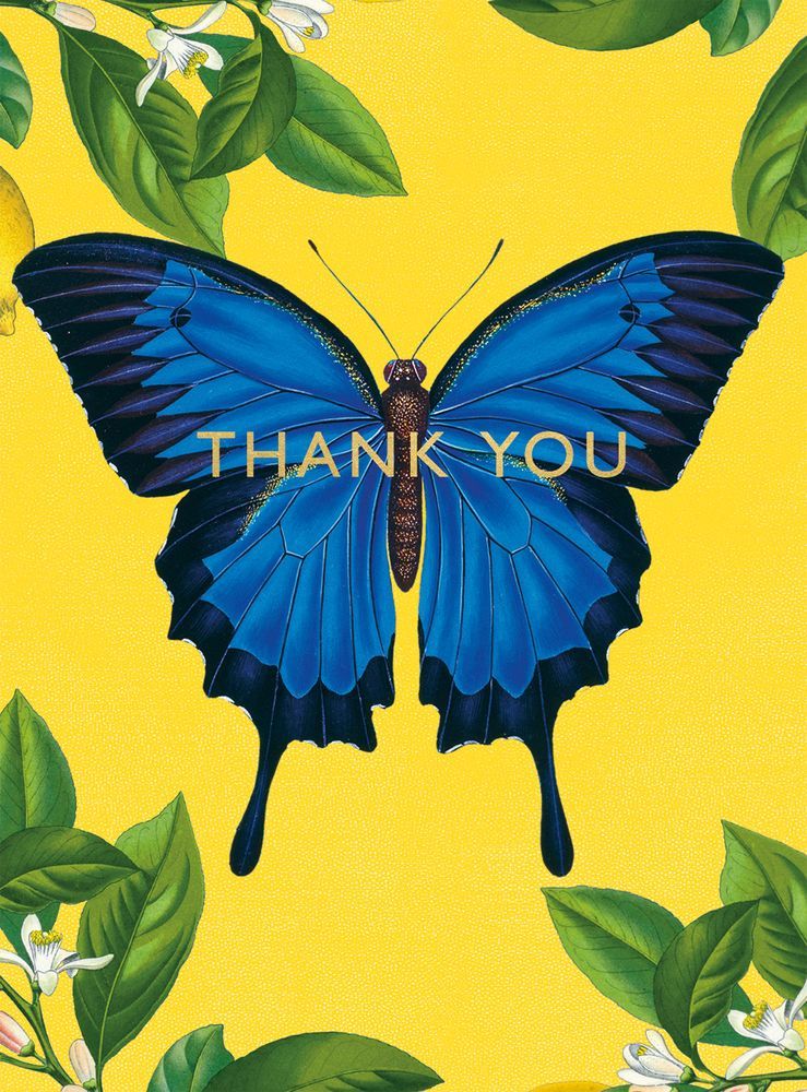 Ulysses Butterfly - 8 Notecards with Envelopes