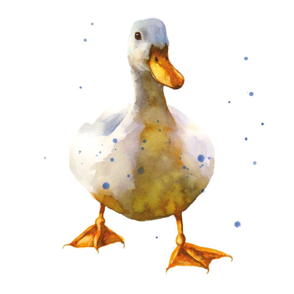 Alison Fennell Waddling White Duck Art Card