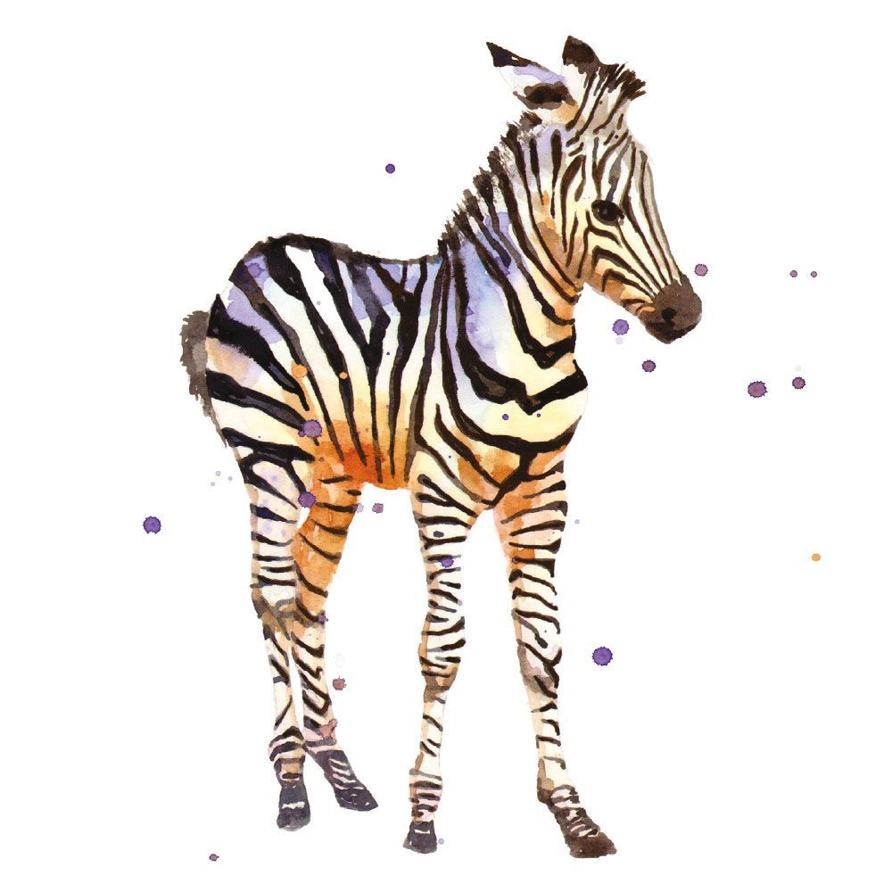 Alison Fennell Little Zeb Art Card