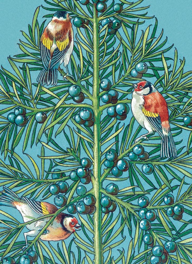 A. Moor Three Goldfinches Christmas Card Pack