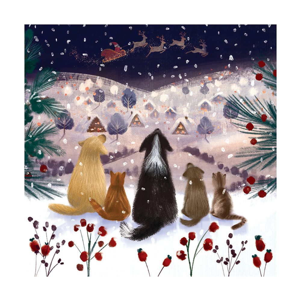 Catherine Worsley A Winter's Tail Christmas Card Pack