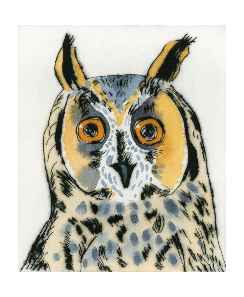The Art of Print Greetings Card - Long Eared Owl