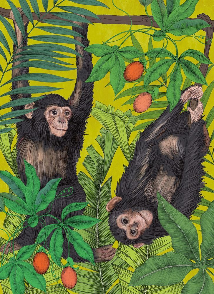 Matthew Williamson Monkey Business Art Card