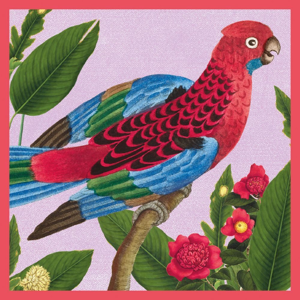 Natural History Museum Crimson Rosella Art Card
