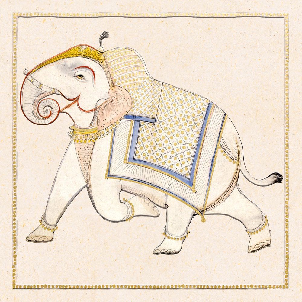 Kota Study of an Elephant Art Card