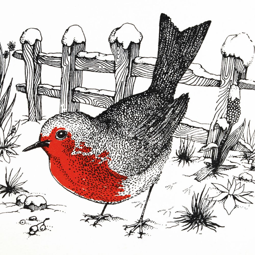 Buday collection Robin Redbreast Christmas Card Pack