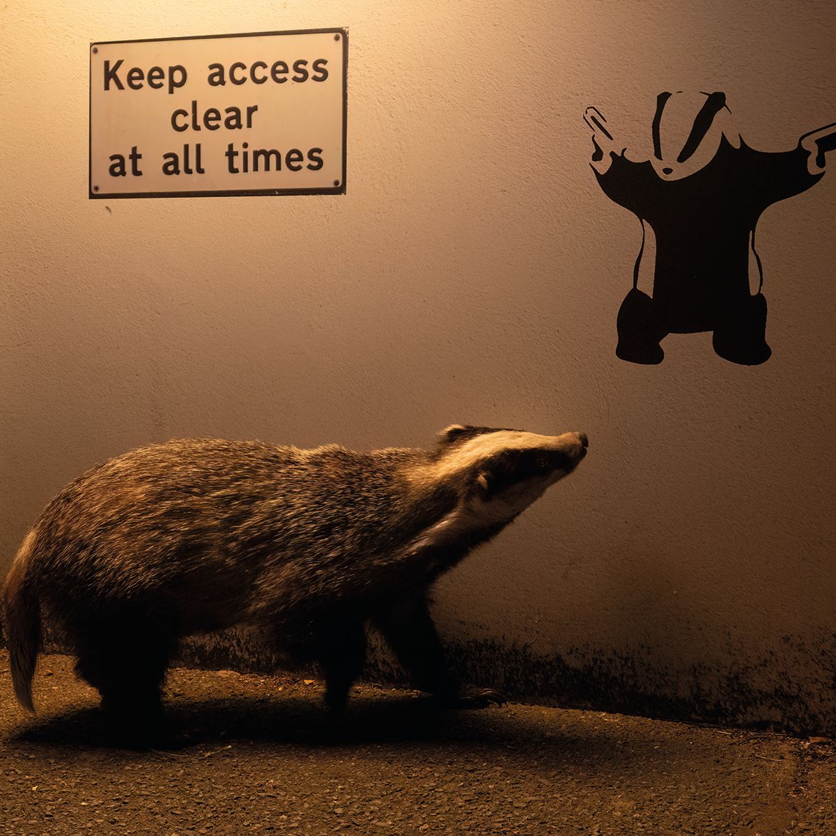 Ian Wood No Access - Badger Art Card