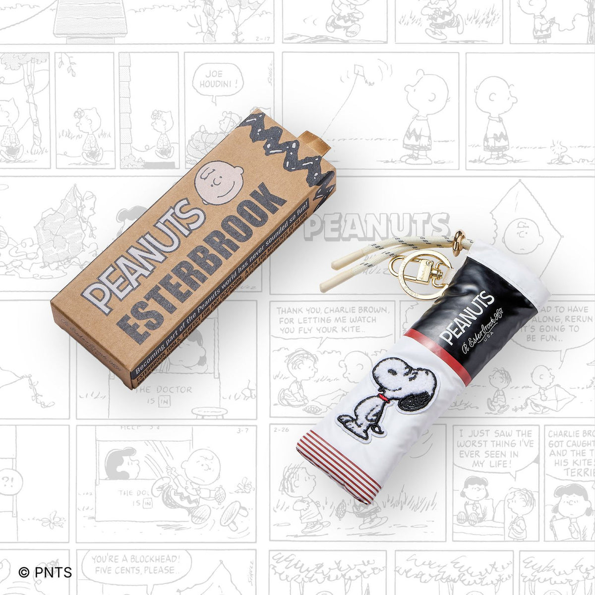 Peanuts pen case