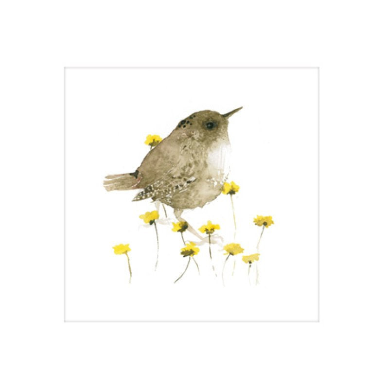 Millbank Wren Blank Greetings Card