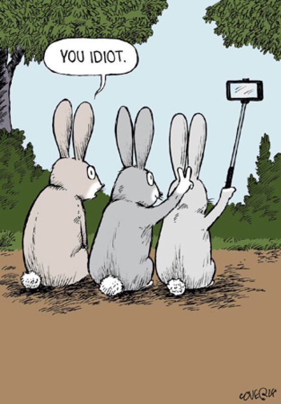 Rabbit Selfie Cartoon Blank Greetings Card