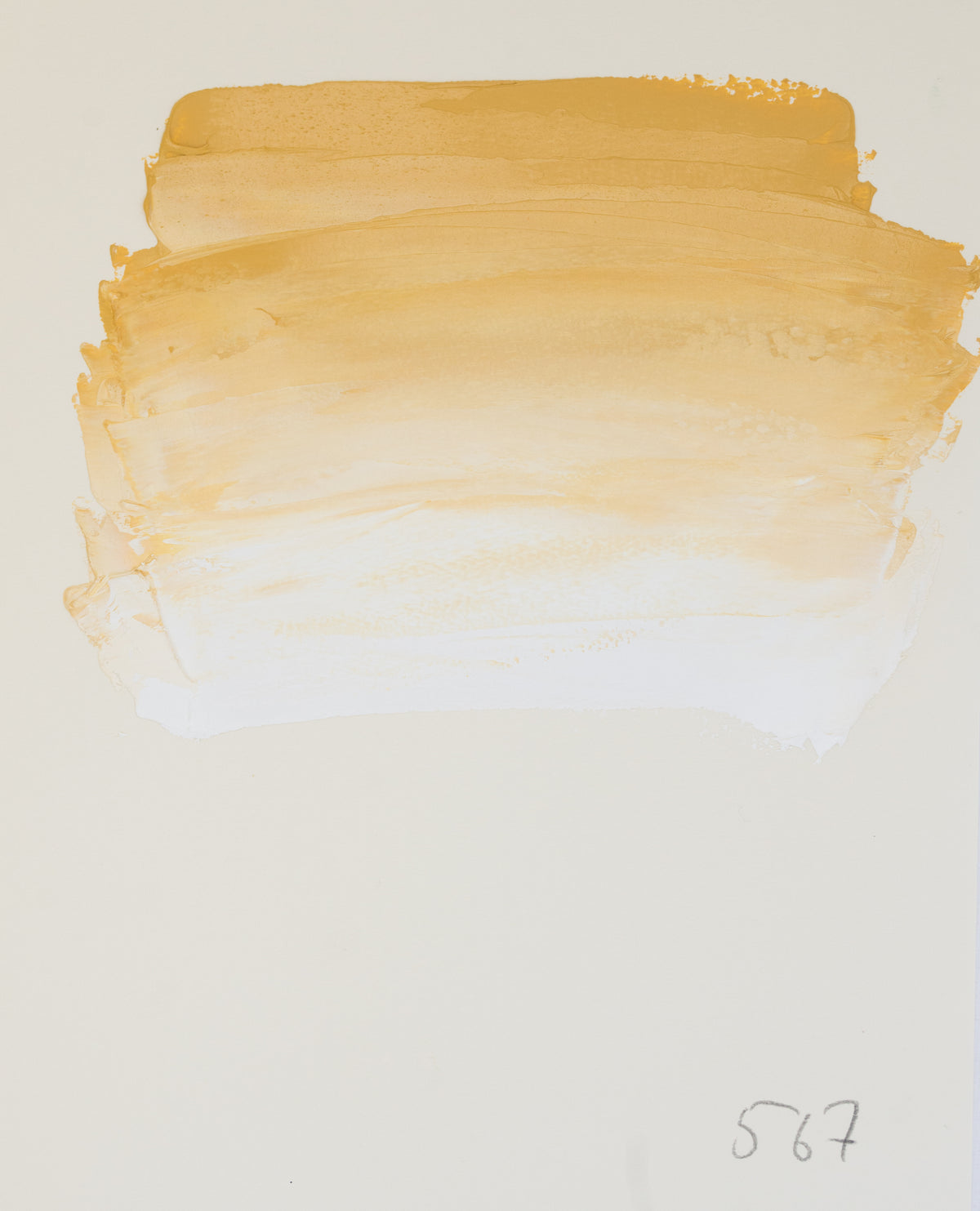 Sennelier Rive Gauche Fine Oil Colour 40ml – Naples Yellow 567