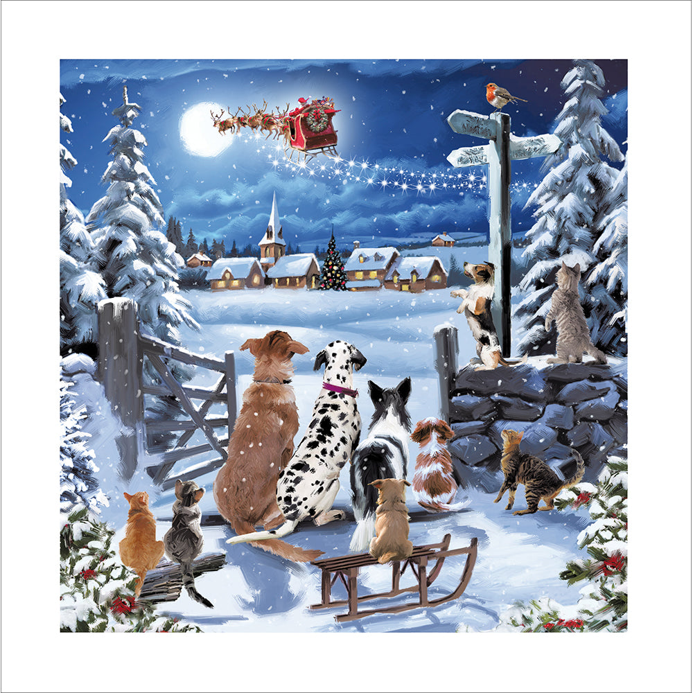 Waiting for Santa Dogs & Cats Christmas Card