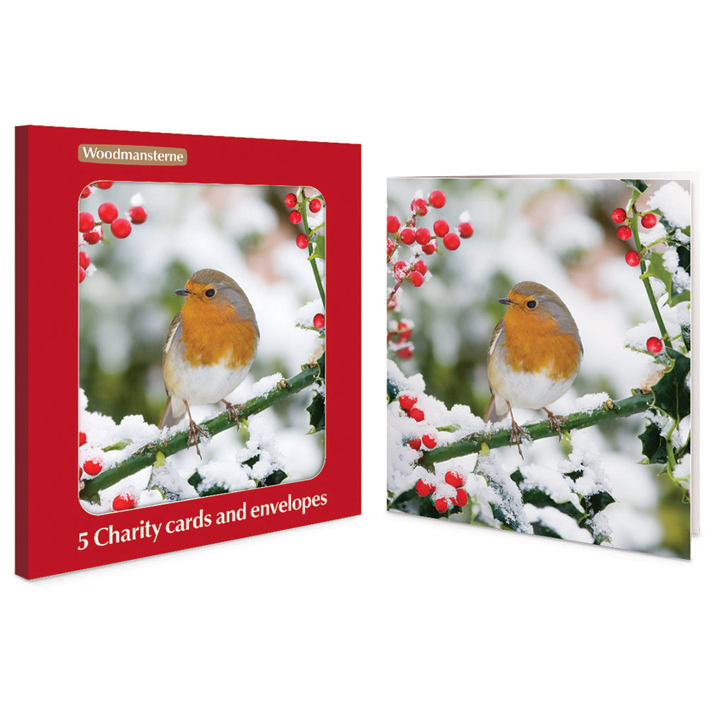 Winter Friend Robin Charity Christmas Cards | Pack of 5