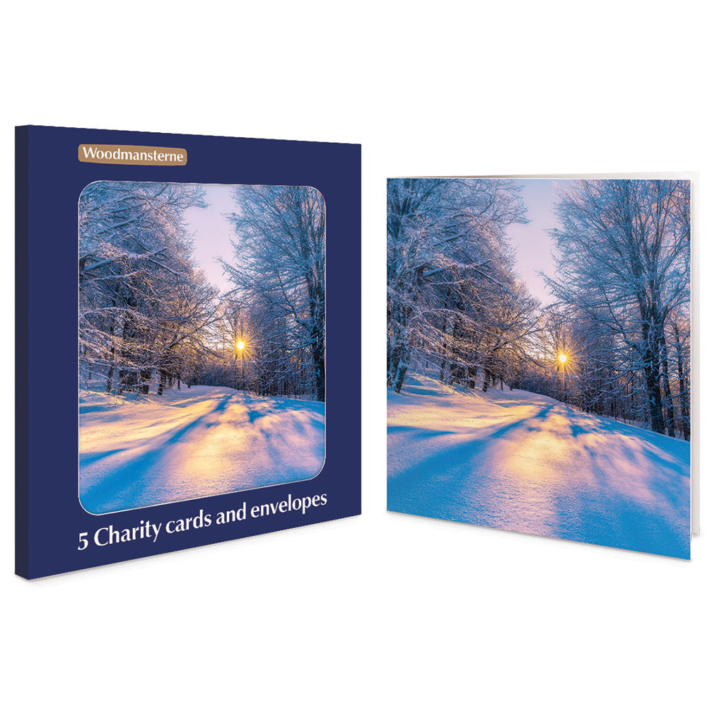 Winter Wonder Snowy Woodland Charity Christmas Cards | Pack of 5