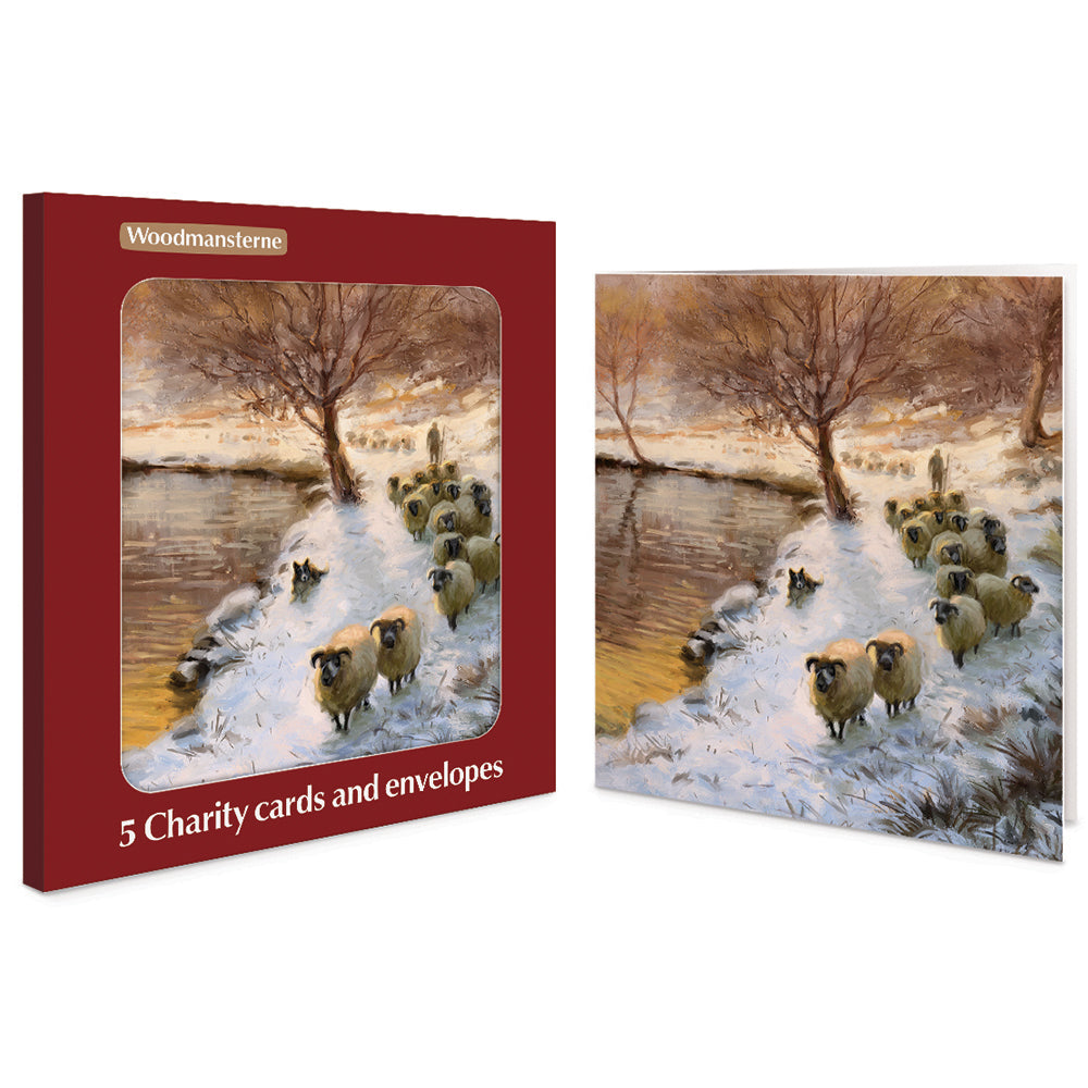 Sheep in the Sunset Charity Christmas Cards | Pack of 5