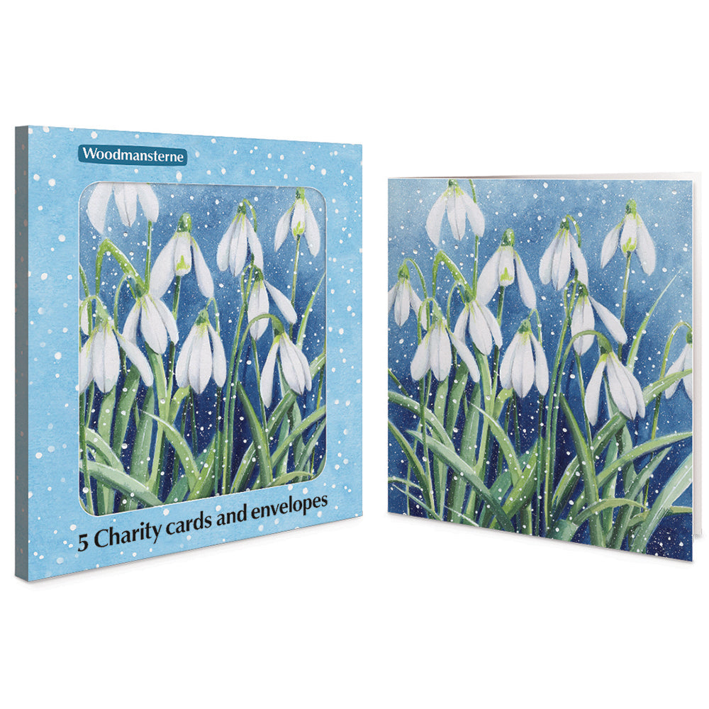 Winter Wonder Snowdrops Charity Christmas Cards | Pack of 5