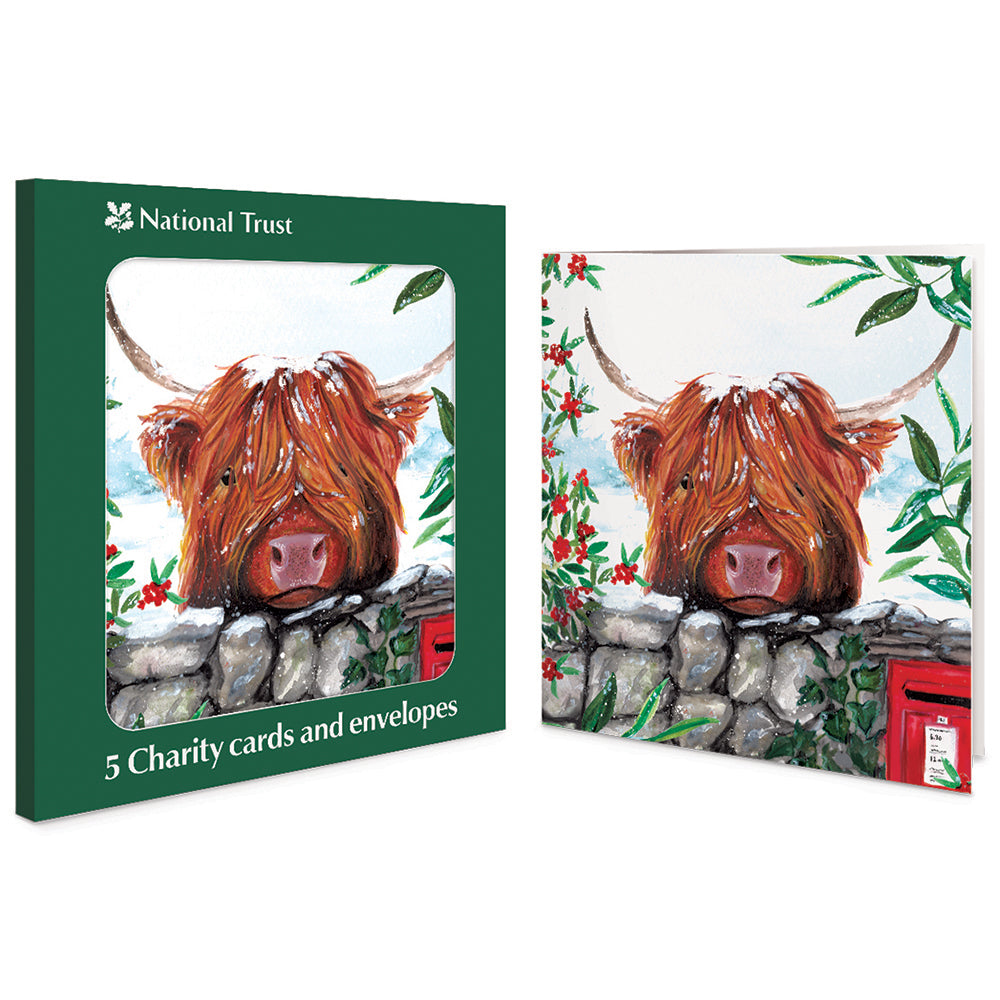National Trust Highland Cow Charity Christmas Cards | Pack of 5