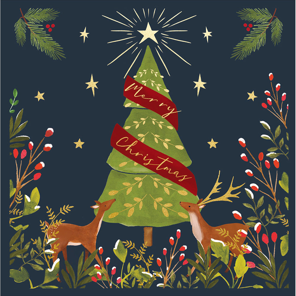 Wonder at Christmas Luxury Greetings Card Box | 8 Cards & Envelopes