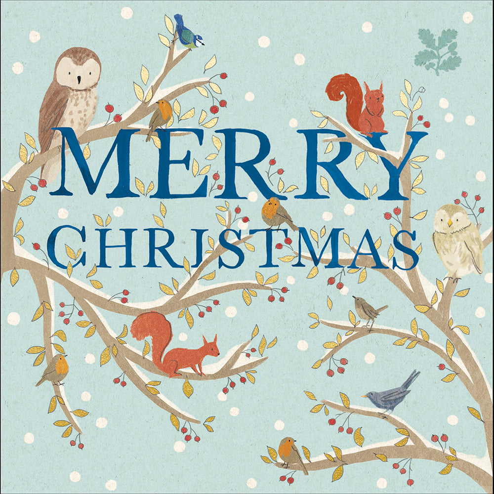 National Trust Christmas Gathering Luxury Greetings Card Box | 8 Cards & Envelopes