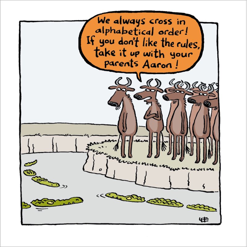River Crossing Wildebeest Funny Blank Greetings Card