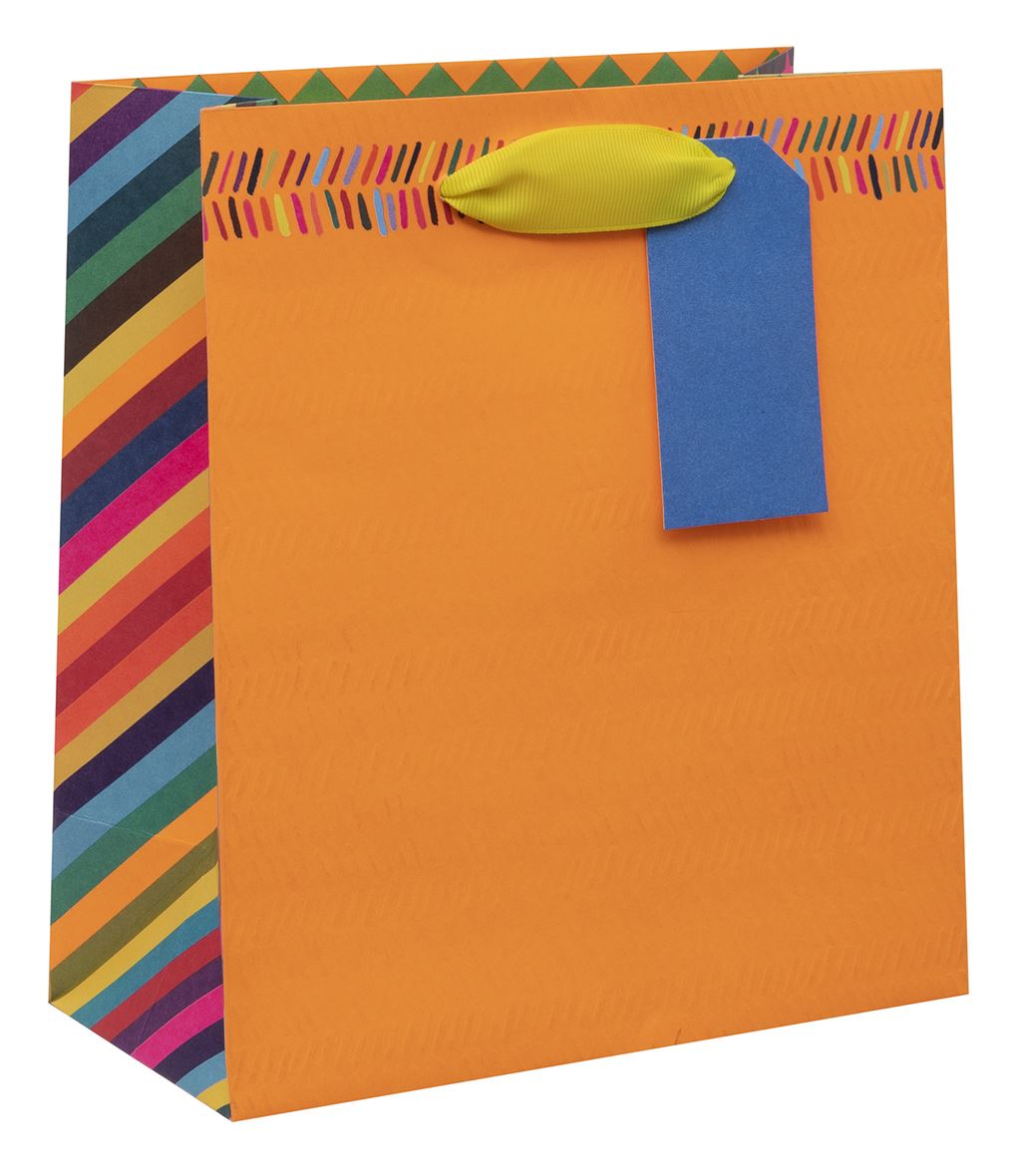 Colour Hub Orange Medium Gift Bag by Paper Salad