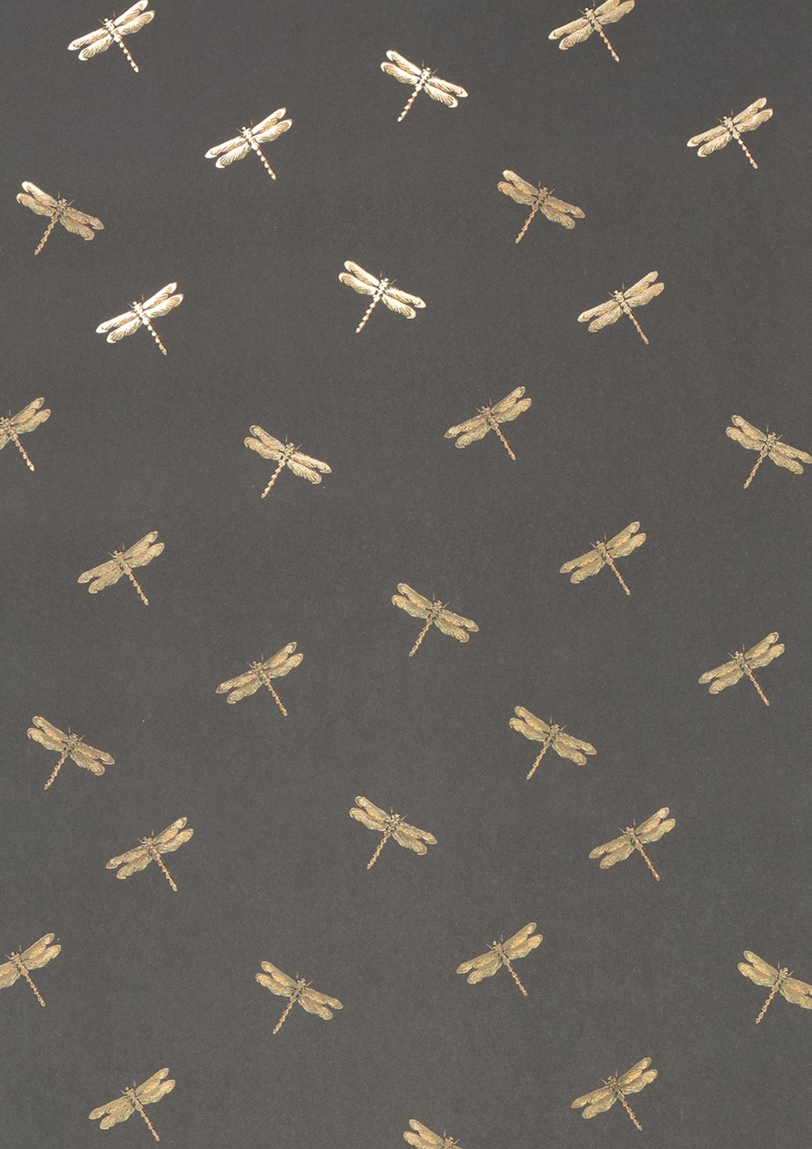 Glick Gift Wrap (Single Sheet) - Dragon Fly