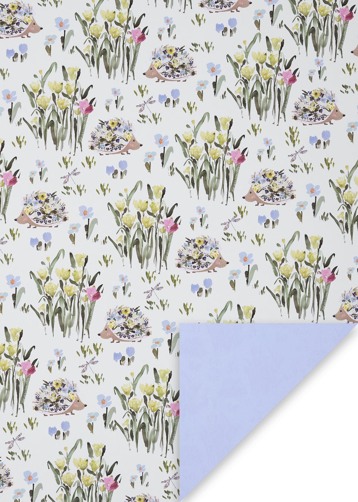 Happy Hog Wrapping Paper Sheet by Stephanie Dyment