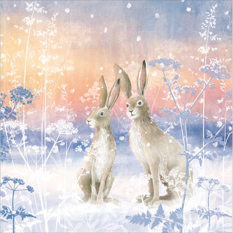 Hazy Hares Winter Sunset Christmas Card