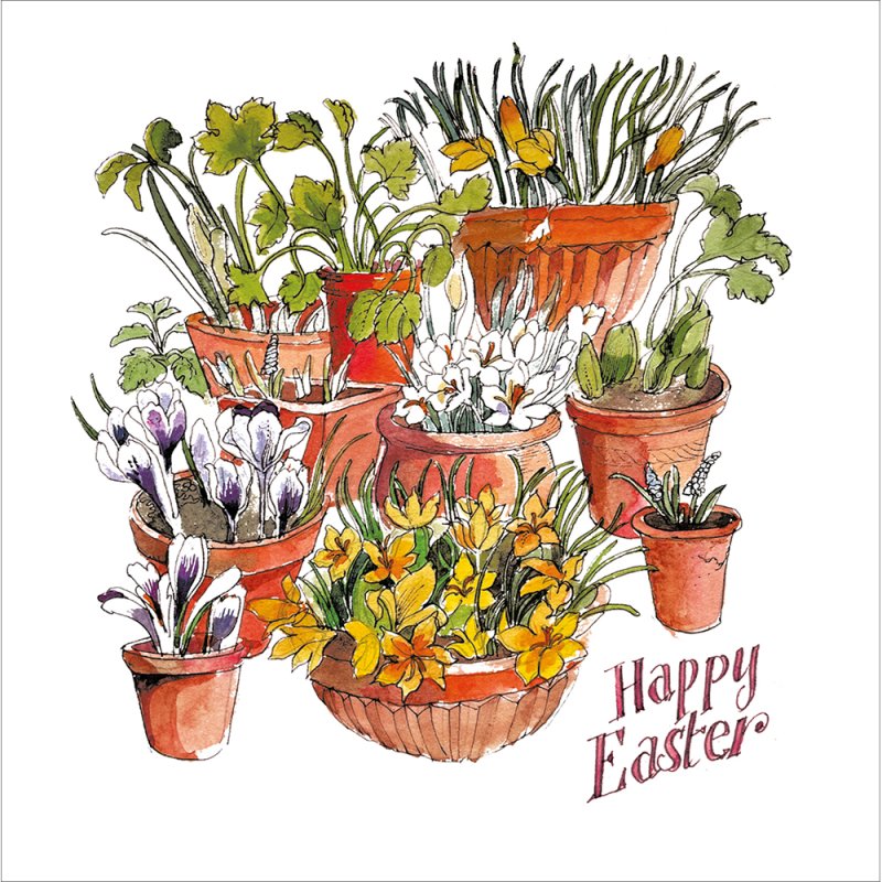 Easter Display Spring Bulbs in Pots Easter Card