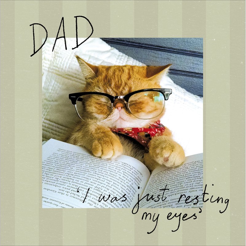Cat Napping Resting My Eyes Funny Father's Day Card